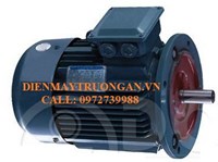 Motor điện 3 pha/Động cơ điện 3 pha-1HP/750W/2-4-6-8-10Cực/Poles-Mặt Bích