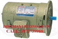 Motor động cơ điện Một Chiều/DC Mặt Bích 1/2Hp/0.37Kw-D14