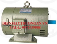 Motor động cơ điện Một Chiều/DC Chân Đế 1/2Hp/0.37Kw