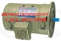 Motor động cơ điện một chiều/DC Mặt Bích 5Hp/3.7Kw-D28