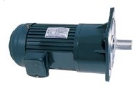 Motor động cơ giảm tốc DOLIN Chân đế Trục thẳng 11Kw/15HP tỷ số truyền 1/3-1/200